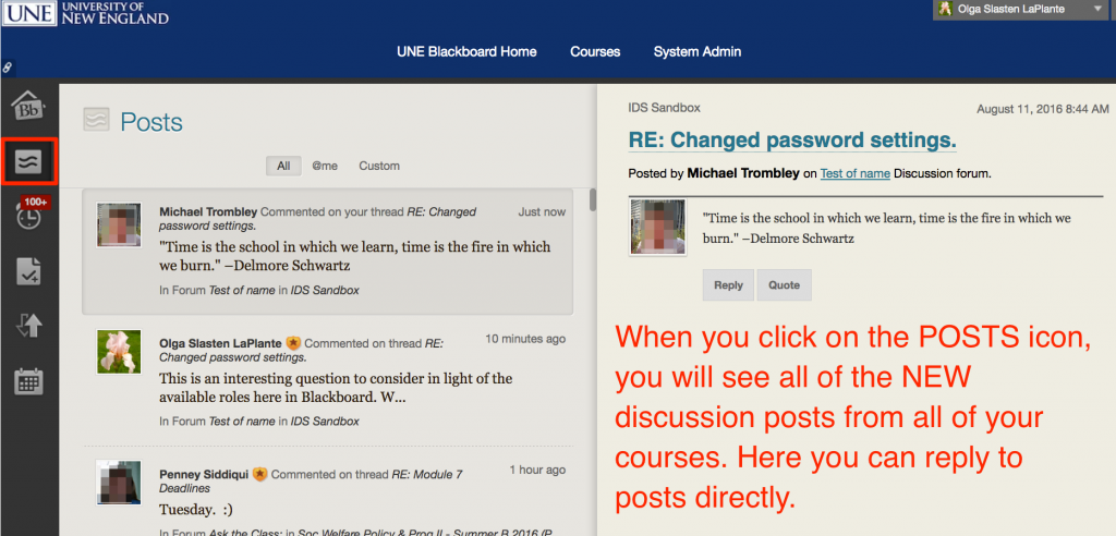All new discussion posts in your courses with tabs