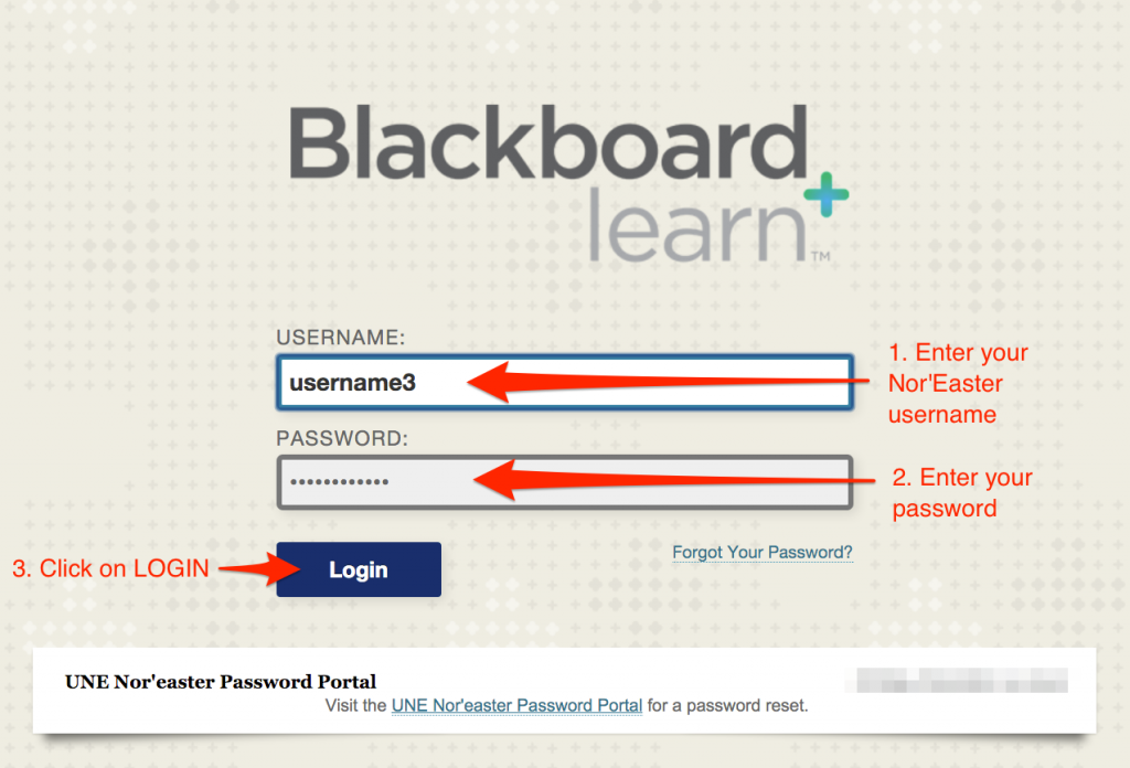 Blackboard Support Portal for UNE Online Students Student Portal